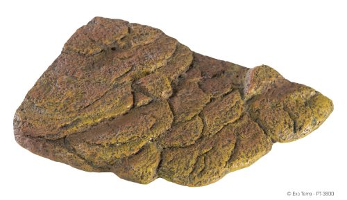 Exo Terra Turtle Bank - Small - size: Small