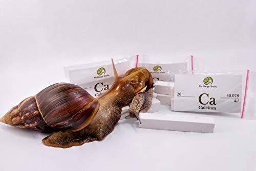 Organic Calcium for Pet Snails (3 Sticks) - for All Types of Land Snails : Garden Snail, Giant African Snail, Helix Aspersa, Pomatia etc