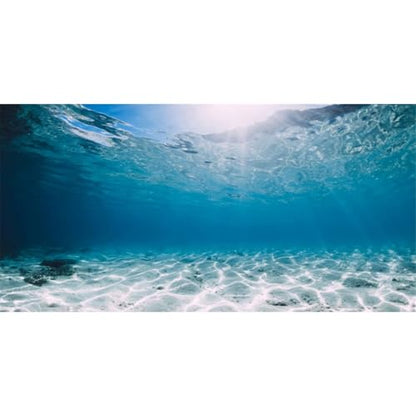 AWERT 48x24 inches Vinyl Undersea Ocean Floor Aquarium Background Tropical Tank Background - size: 48x24in/120x60cm