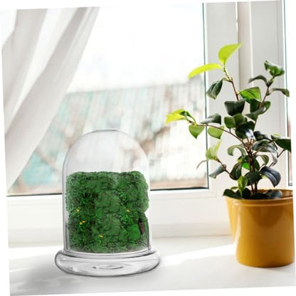 POPETPOP Glass Ecosystem Bottle Air Plant Holder DIY Bell Jar Terrarium Kit Decorative Plant Pot Drainage