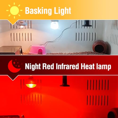Leoterra 75w Heat Lamp Bulbs Day and Night Heat Lamp Bulbs Combo Pack, Dimmable Heat lamp for Reptiles, E26 Base,Easy to Install,Long-Lasting Reptile Heating Bulb - style: H8075 Combo Pack