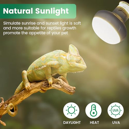 Reptile Heat Lamp Bulbs 75W (2-Pack) – Efficient Heating & Simulated Sunlight Basking Light for Amphibians, Bearded Dragon, Lizard, Turtle, Chicken – E26 Base - color: White, size: 75W