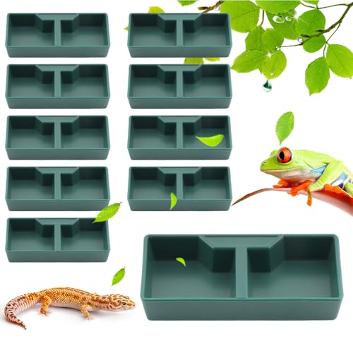 10 Pack Reptile Food and Water Bowl Set with 2 Compartments Feeding Tray for Lizards Geckos Frogs Turtles and Hermit Crabs (Green)