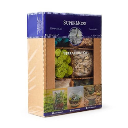 SuperMoss (90420) Beach Terrarium DIY Kit – Create Stunning Nature-Inspired Mini Gardens – Perfect for Home Decor, Office Gifts, and Plant Lovers, Appx 8 Oz
