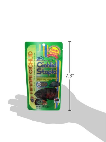 Hikari Cichlid Staple Floating Baby Pellets for Pets, 2-Ounce - color: Black, size: 2.01 Ounce (Pack of 1)