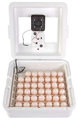 Little Giant White Miller Manufacturing Company 9300 Digital Still Air Incubator