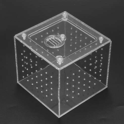 Reptile Breeding Box Acrylic Terrarium Transparent Durable Enclosure with Ventilation Holes Feeding Hole Safety Lock Cover for Snakes Spiders Lizards Insects Small Pets 10x10x9cm