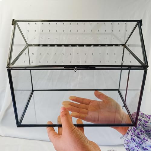 Geometric Glass Terrarium with Acrylic Lid, House Shape Black Terrarium with Breathing Holes for Snails, Succulent, Cacti, Air Plants, 10.3x8.3x5.9 inch (Terrarium Only)