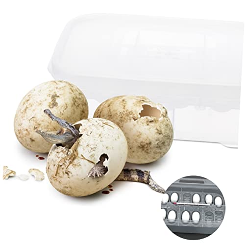 Transparent Reptile Breeding Box Incubation Hatchery Box for Snakes Lizards Easy to Clean Design for Reptile Pets Professional Incubator with Great Visibility