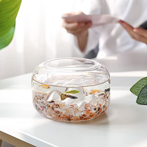 T4U Crystal Rocks for Aquarium, Carnelian Chips Pebbles for Plants 1 lb | Crushed gemstone gravel for fish tank decor, succulent top dressing, terrariums, vase filler, resin art and craft projects - color: #5 - Carnelian, size: 1 LB