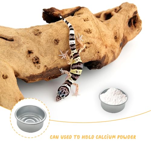 14 Pcs Gecko Food Cups, Crested Gecko Food Dish, 0.5oz Metal Reptile Feeding Cups, Feeder Ledge Accessories Supplies for Crested Gecko, Lizard, Tarantula and Small Pet
