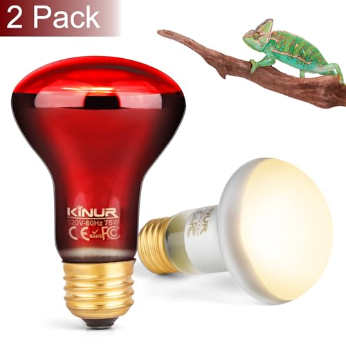 KINUR 2 Pack 75W Reptile Heat Lamp Bulbs, Reptile Day and Night Basking Spot Bulb Combo Amphibian Infrared Heat Lamp Bulb/UVA Basking Spot Daylight Heating Light Bulb - color: White 1pcs+red 1 Pack