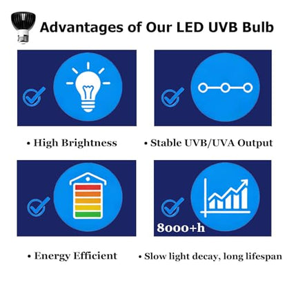 UVB Light for Reptiles with Anti-Glare Lens UVB Bulb 5W LED UVA UVB Reptile Light Bulb Soft Glow UVA UVB Lights for Turtle, Cameleon, Lizard, Bearded Dragon, Gecko 1 Pack