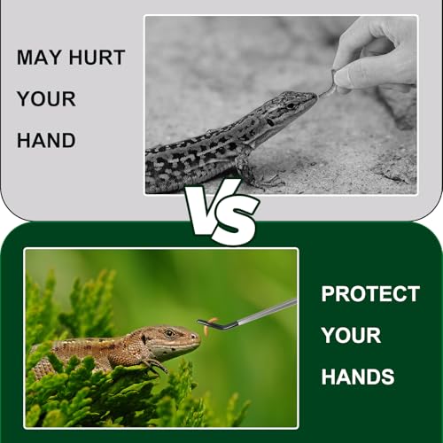 Stainless Steel Reptile Feeding Tongs 10.6" Straight and Curved Long | 2PCS Terrarium with Rubber Tip Aquascape Tools Feeder for Lizards, Bearded Dragon Snake Enclosure Tank Accessories