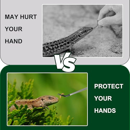 Stainless Steel Reptile Feeding Tongs 10.6" Straight and Curved Long | 2PCS Terrarium with Rubber Tip Aquascape Tools Feeder for Lizards, Bearded Dragon Snake Enclosure Tank Accessories