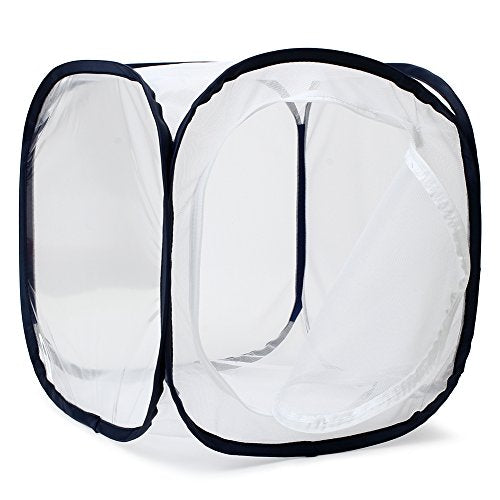 Insect and Butterfly Habitat Cage Terrarium Pop-up 12 X 12 X 12 Inches - color: White With Black, size: 12 x 12 x 12 inches