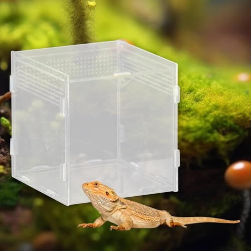 Reptile Breeding Box Acrylic Terrarium Habitat Container for Turtles Snakes Chameleons Geckos Feeding Hatching Case Enclosure- 10x10x10cm