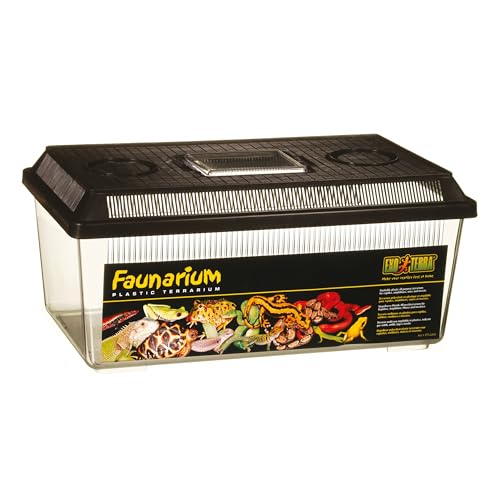 Exo Terra Faunarium Reptile Terrarium, Medium (14" x 8" x 6") | Flat Home Plastic, Perfect for Temporary Housing, Quarantine, or Transport, Transparent Plastic Door for Easy Access - size: Medium