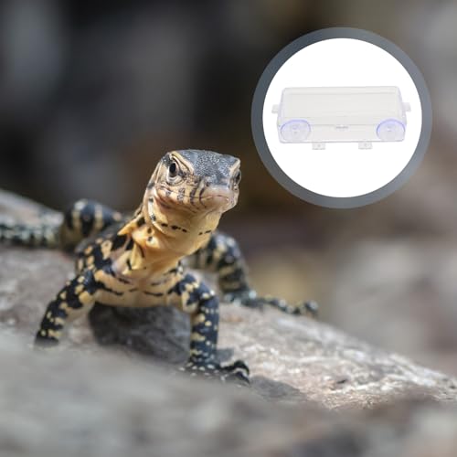 KALLORY Escape-Proof Suction Cup Reptile Feeder Bowl, Anti-Escape Lizard Feeding Basin with Water Dish for Geckos and Small Reptiles in Terrariums