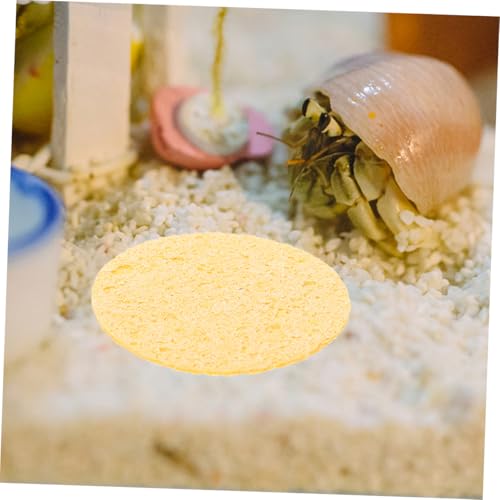 20pcs Humidity Maintaining Crab Tank Sponges Unbleached Sea Sponge for Water Dish Durable Moisture Retention Promoting Healthy Growth Pet Crab Habitats