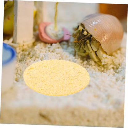 20pcs Humidity Maintaining Crab Tank Sponges Unbleached Sea Sponge for Water Dish Durable Moisture Retention Promoting Healthy Growth Pet Crab Habitats