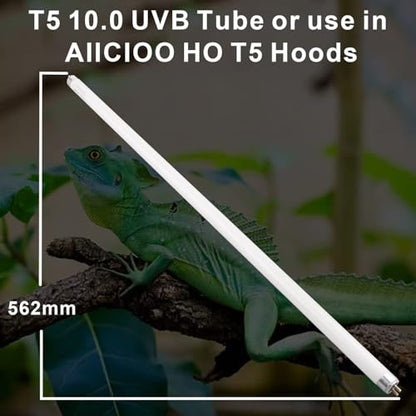 Aiicioo 2 Pack T5 HO 10.0 Reptile UVB Light 24W - Desert 22" UVA UVB Fluorescent Lamp Tube UVB Lighting Bulb for Tortoises Lizard Bearded Dragon Chameleon Turtles - style: 2 pack T5 Tube-24W 10.0