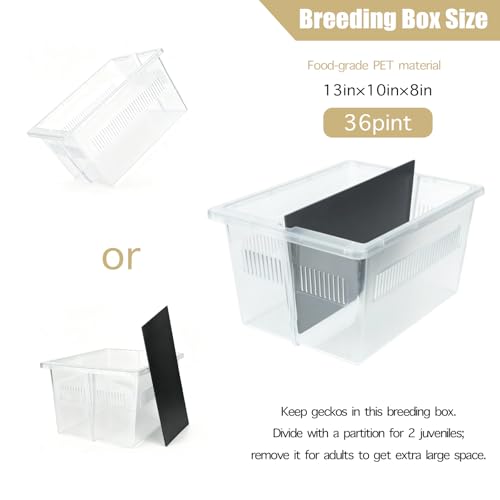 13x10x8 Stackable Reptile Rack, 6-Level, Removable Divider, Ventilated | 13x10x8 stackable reptile rack base, removable divider, ventilated lid, modular gecko breeding expandable 6 levels - size: 13x10x8-base
