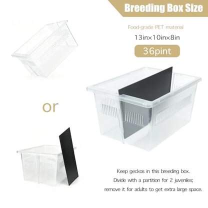 13x10x8 Stackable Reptile Rack, 6-Level, Removable Divider, Ventilated | 13x10x8 stackable reptile rack base, removable divider, ventilated lid, modular gecko breeding expandable 6 levels - size: 13x10x8-base