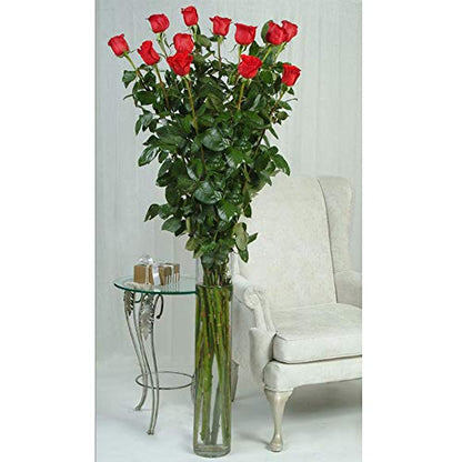 WGV Cylinder Vase, Width 6", Height 24", Clear Tall Glass Container Terrarium Candle Holder for Wedding Centerpiece, Party Event, Home Office Decor, 1 Piece - size: 6"x24"H