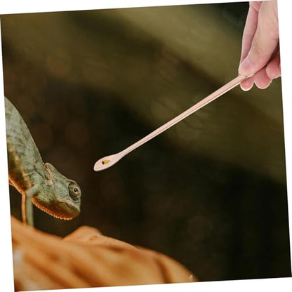 Mipcase 2pcs Stainless Steel Reptile Food Scoop Small Pet Feeding Spoon for Lizards and Reptiles Ergonomic Design for Easy Use and Maintenance Compact and Lightweight Tool for Convenient
