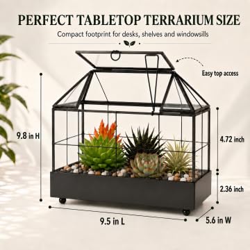 Large Tall Plant Terrarium Glass – Glass Greenhouse Terrarium with Lid and Tray,Indoor Tabletop Orchid Succulent Cacti Terrarium Kit 9.5”X9.8”X5.6”