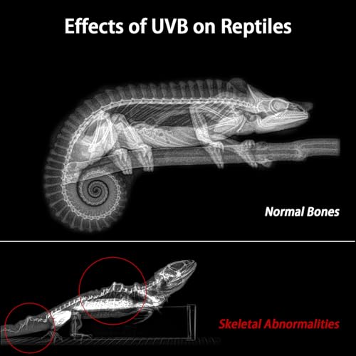 16-Inch LED UVB Reptile Light with Auto On/Off & Preset Day-Night Cycle Dimming, 4 UVI Modes Fixture Controller, 14W Aluminum UVA UVB Lamp for Bearded Dragons, Turtles & Snakes, 6500K - size: 16 INCH