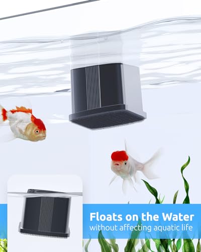 SEAOURA 2-in-1 Aquarium Magnetic Cleaner with Digital Aquariums Thermometer | Tiny Magnet Cleaner Floating Cleaning ToolAlgae Scrapers(Only for Glass Fish Tank) - color: Black