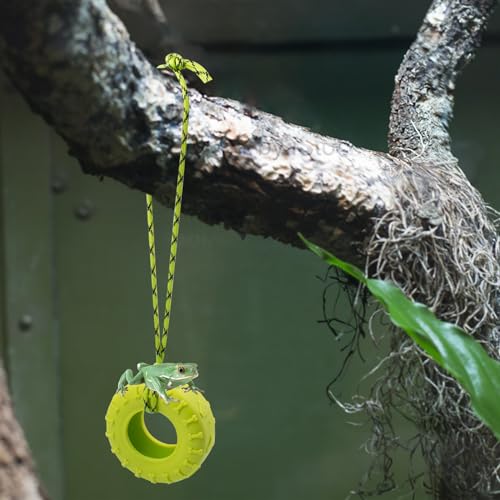 2 PCS Tree Frog Toy Tire Swing Habitat Miniature with 2 Suction Cup Hook Frog Tank Accessories Terrarium Decor Climbing Swing Reptile Amphibian Crustacean Climbing Toy