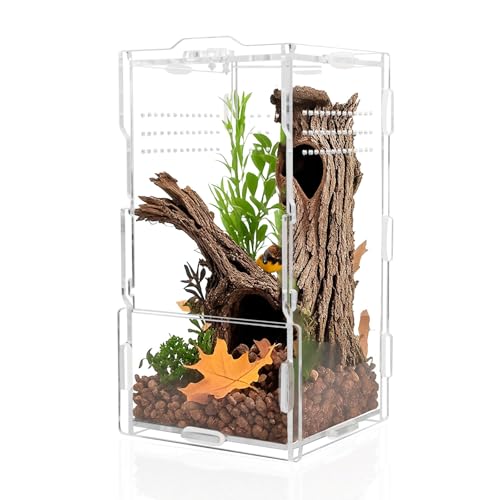 4x4x8 Inch Acrylic Reptile Terrarium，Front Opening Tarantula Enclosure with Swivel Lock & Magnetic Feeding Door，Small Spider Cage for Jumping Spider、Scorpion、Isopods、Snails