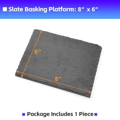 8x6 Natural Slate Basking Platform for Reptiles & Turtles | Non-slip rough slate platform for secure climbing. Holds heat to warm reptiles. feeding tray. Porous slate absorbs water - size: 8'' x 6''