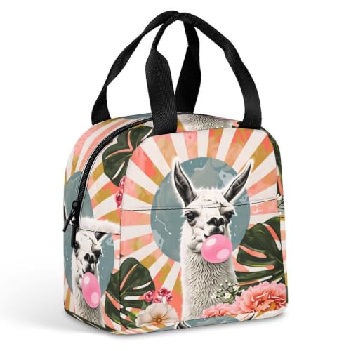 Funny Llama Alpaca Lunch Bag for Women Men | Insulated Lunch Box Leakproof Food Meal Containers Reusable Foldable 6L Capacity Lunch Tote Bags for Work Picnic Travel - color: Style 3