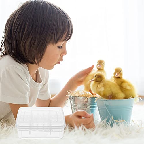 2Pcs Reptile Egg Incubator Tray with Lattice Design Lightweight and Portable Hatching Box for Lizards Snakes Tortoises Transparent Cover for Easy Observation