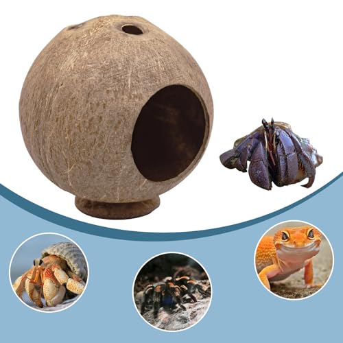 Hermit Crab Accessories, Natural Coconut Habitat Hide with Base, Reptile Tank Accessories, Coconut Hide, Habitat Hideout for Hermit Crab, Tarantula, Gecko and Other Small Animals