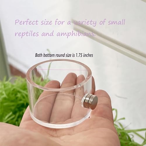 Tall Jumping Spider Feeding Dish, Magnetic Tiny Food Dishes Water Dish for Jumping Spider, Tarantula and Other Small Pets,(1.2in Tall) - size: Single