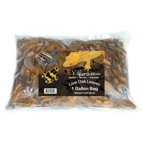 XYZReptiles Premium Live Oak Leaf Litter Isopod Substrate Terrarium Bedding (1 Gallon) - size: 1 Gallon