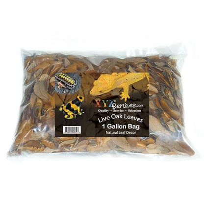 XYZReptiles Premium Live Oak Leaf Litter Isopod Substrate Terrarium Bedding (1 Gallon) - size: 1 Gallon