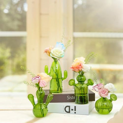 XXXFLOWER Cactus Plant Propagation Station 4 Cactus Vase Terrarium Jars | Desk Plant Cuttings Plant Holders Unique Glass Flower Vase for Hydroponics Plants for Plant Lovers Home Garden Decor - size: 4PCS Cactus Vase