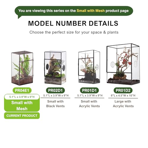 NCYP Glass Terrarium with Door and Mesh for Small Insects - 5.1 x 3.9 x 9 Inches Rectangle Reptile Habitat, Black - Modern Home Tabletop Decor (Terrarium Only)