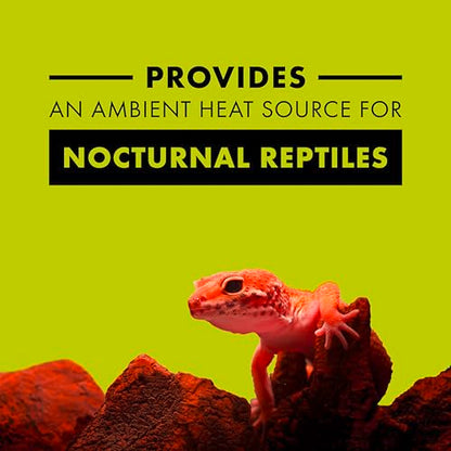 Zilla Incandescent Bulb, Night Red, Ideal for Nocturnal Reptile Species - size: 50 Watts, style: Night Red