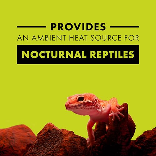 Zilla Incandescent Bulb, Night Red, Ideal for Nocturnal Reptile Species - size: 150 Watts, style: Night Red