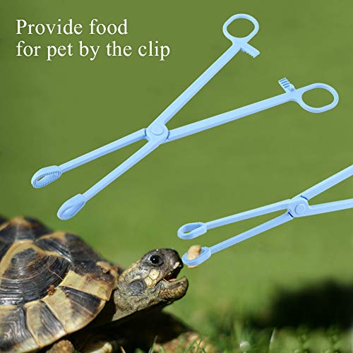 HEEPDD Reptile Feeding Tongs 9.64 Inch Stainless Steel Tweezers for Bearded Dragon Lizard Snake Supplies Accessories