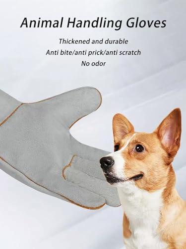 Animal Handling Gloves Used for Dog Training Cats to Catch Falcons, Reptiles to Catch Snakes