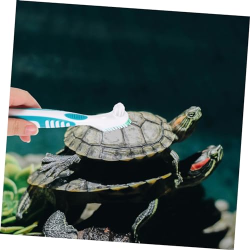 balacoo 2pcs Turtle Supplies Turtle Shell Cleaning Brush Tortoise Shell Mud Clean Brush for Fish Tank Reptile Terrarium - color: Multi