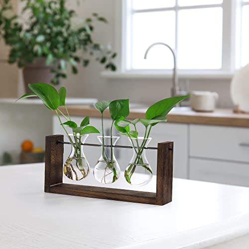 YIBOT Wall Hanging Planter Plant Propagation Stations Glass Flower Vase | Plant Terrarium with Wooden Stand,Gifts for Plant Lovers,Bathroom, Home Office Living Room Decor - size: 3Vase-M